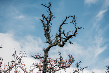 Irland Wicklow Mountains Roadtrip