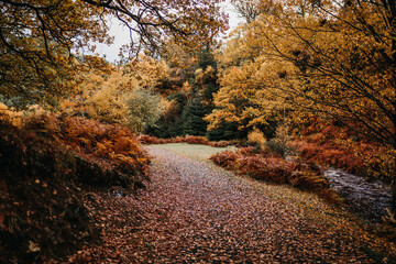 Irland Wicklow Mountains Roadtrip