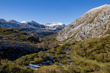 beautiful and peaceful valley with many colored green meadows and snowy mountains in the background. Somiedo Natural Park. Asturias. Biosphere Reserve