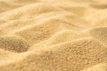 Fototapeta na wymiar Close-up of sand on the beach. Toned photo with low depth of field. Small grains of sand on a clean beach.