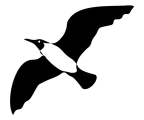 black and white flying seagull logo