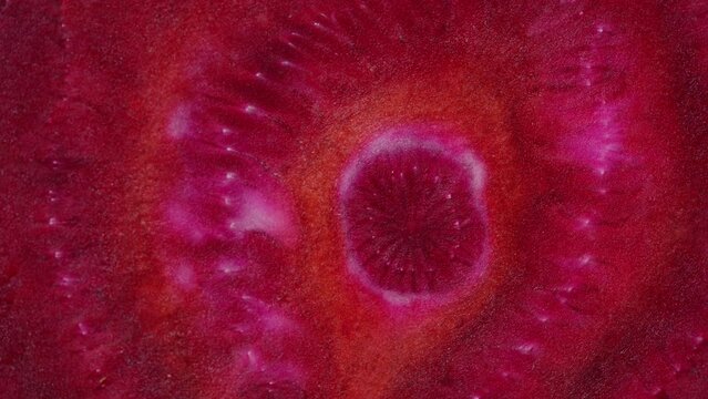 Fresh beetroot slice texture, close up. Red ripe beetroot surface background, macro. Top view, rotate