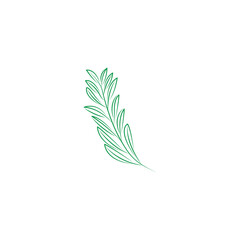 Simple linear leaf drawing. Leaf vector for New Year's designs.