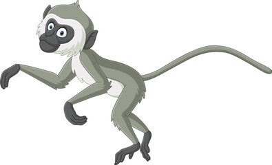Cute Grey langur monkey cartoon
