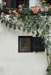 Fototapeta na wymiar An old vintage wooden window with shutters and flowers. Traditional European architecture. Travel minimal concept