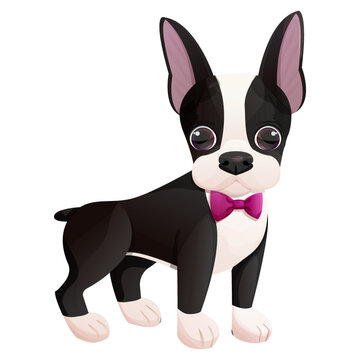 Boston terrier cool puppy with bow standing in cartoon style isolated on white background. Cute dog, print design