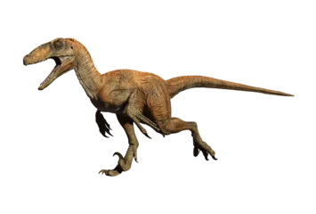 Wandcirkels plexiglas Velociraptor dinosaur jurassic © david