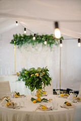 Hall with decor herbs and lemons. Luxury stand newlyweds in banquet area on wedding party. Setup...