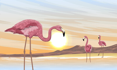A flock of red flamingos at sunset. Phoenicopterus ruber or Caribbean flamingo. Wild birds of South America, Galapagos and Caribbean islands. Realistic vector landscape