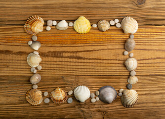 Fototapeta na wymiar Sea Shell Frame, Multicolored Seashells Border, Clam Mollusc Shells Pattern, Natural Sea Shell Frame