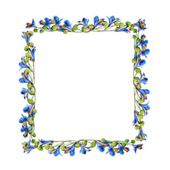 Square frame make with blue flowers and leaves, isolated on transparent background