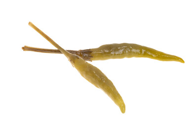 green chili pepper isolated