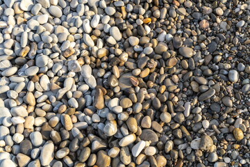Colored pebble beach texture background
