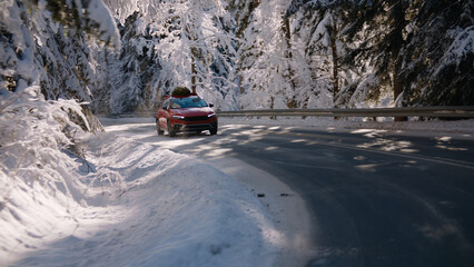 Family driving home with a Christmas tree tied to a roof of a generic red car on a scenic forest road, trees covered with show