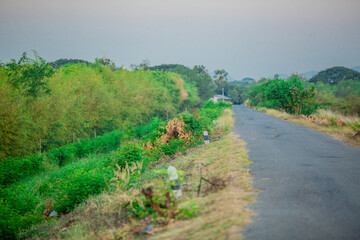 Obraz premium Natural background, high angle from the high mountains that can see the scenery around, the wind blows through the cool, blurred of traveling, the integrity of the moist forest.