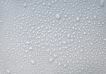 Droplets water background. Rain wallpaper with liquid drop