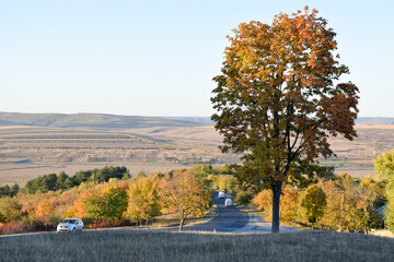 Obraz premium autumn landscape with tree