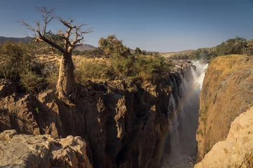 Fotobehang epupa waterfall with baobab tree- namibia africa © Marek