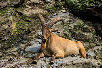 Dagestan tour. Background with selective focus and copy space