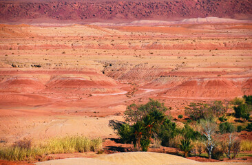 Beautiful desert view, barren multicolored hills in red, pink, purple and yellow colors, few trees and dry grass in Southern Morocco, North West Africa.