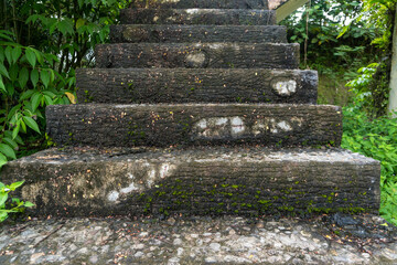 Abandoned stairs with mossy textures in damp area