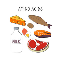 Amino acids-containing food. Groups of healthy products containing vitamins and minerals. Set of fruits, vegetables, meats, fish and dairy
