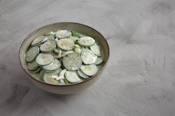 Homemade Cucumber Salad with Sour Cream and Onions in a Bowl, side view. Copy space.