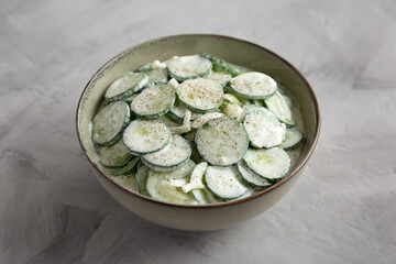 Homemade Cucumber Salad with Sour Cream and Onions in a Bowl, side view.