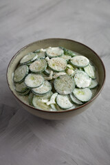 Homemade Cucumber Salad with Sour Cream and Onions in a Bowl, side view.