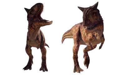 Carnotaurus dinosaur roaring on a blank background PNG ultra high resolution