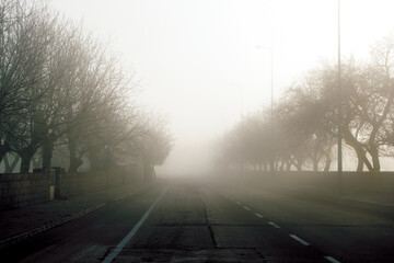 Fototapeta na wymiar morning in the city, fog in the city, morning in the fog,