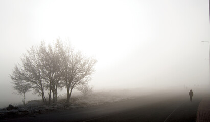 Obraz premium misty morning mist, misty morning in the forest, silhouette of a person walking on a morning, silhouette of a person walking in a fog, silhouette of a person walking in the fog,