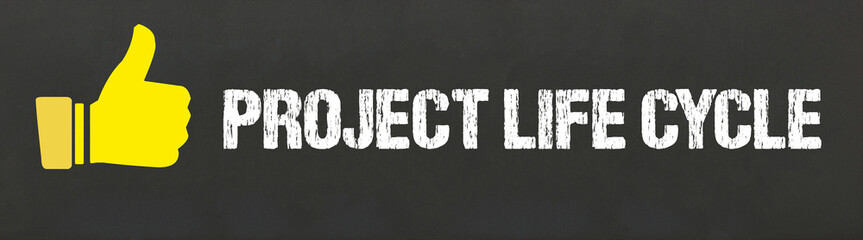 project life cycle	