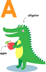Alphabet, letter A. Alligator holding an apple.