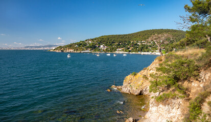 Fototapeta na wymiar Beautiful panoramic view of the Black Sea with yachts and the city in the background. Rocky coast with trees and pines on a sunny summer day.