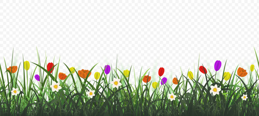 Floral background with green grass. Seamless banner
