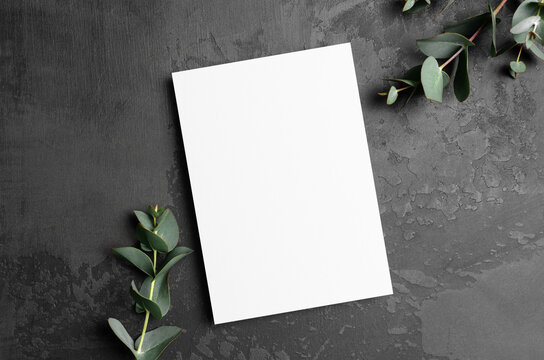 Blank invntation or greeting card mockup with fresh eucalyptus twigs, paper card with copy space