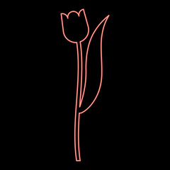 Neon flower tulip plant silhouette red color vector illustration image flat style