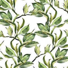 Seamless Watercolor Hand Drawn Magnolia Flowers Pattern