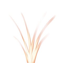 Abstract lines and shapes for design.Stylish templates in gold.Gold lines and shapes.Template,background with gold lines