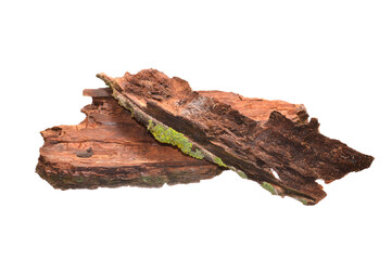 tree bark isolated on white background