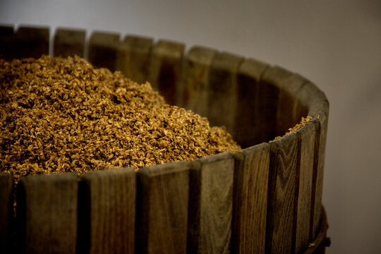 Malt d'orge press&eacute; dans un vieux pressoir. Processus de fabrication de bi&egrave;re au sein d'une brasserie artisanale.