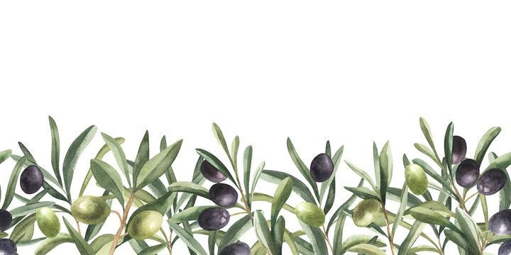 Watercolor seamless border with black olive, branch and leaves. floral illustration isolated Botanical banner for design