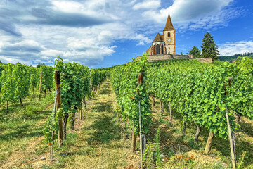 Fototapeta na wymiar Sky with clouds and church view from green vineyards.