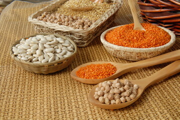 grain consept