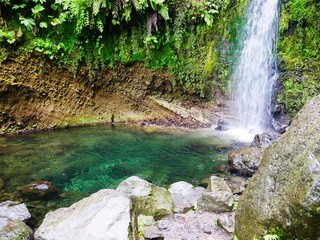 Cascade cascata do Grena dans la forêt tropicale du parc naturel Parque da Grena près du lac de Furnas dans l'archipel des Açores. Île de Sao Miguel. Portugal