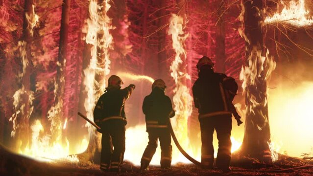 Professional Firefighters Extinguishing Large, High-Priority Part of the Forest Fire. Highly Skilled Hotshot Firemen Crew Working on Challenging Remote Area with Flames Reaching the Treetops