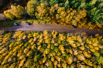 Aerial top down view on a forest park with car park, Yellow and green color of foliage. Autumn or...