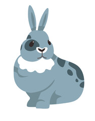 Rabbit portrait, cute wildlife hare animal vector