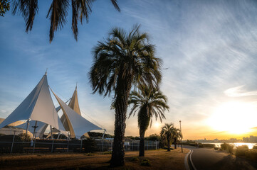 東京都江戸川区　早朝の葛西臨海公園の風景